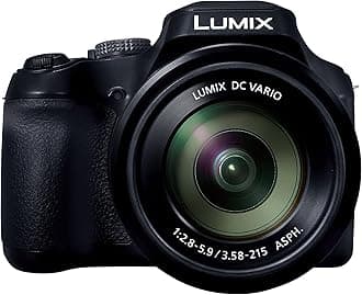 LUMIX FZ80D Compact Camera 20-1200mm Zoom, Point and Shoot Lens with Built-in Lens, 4K Video and Photo Recording, DC-FZ80D
