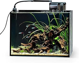 NICREW 2.5 Gallon Nano Nature Aquarium Kit, Ultra-Clear Rimless Desktop Fish Tank with Light and Filter, Perfect for Small Fish, Shrimp, or Betta, Basic Version, Black