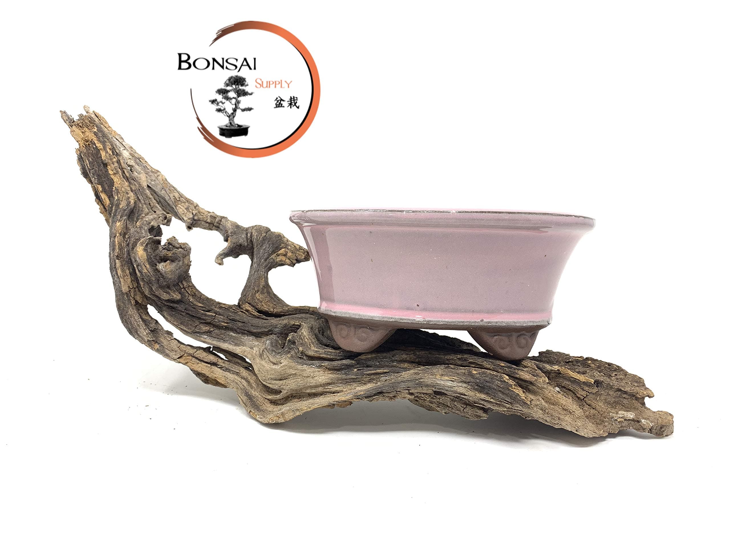 Bonsai Tree Pot Glaze 8" (Pink Lemonade)