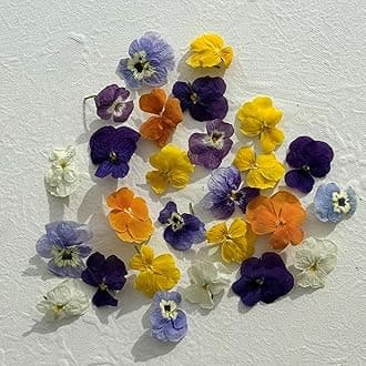 Edible Flowers - Freeze Dried Violas - Multicoloured - 40 Flower Heads - Certified Food Grade (389)