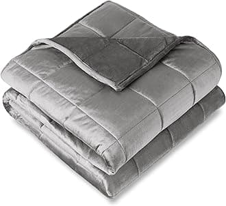 Bare Home Weighted Blanket Full or Queen Size 15lb (48"x72") for Adults - Minky Fleece - Premium Heavy Blanket Nontoxic Glass Beads (Light Grey, 48"x72")