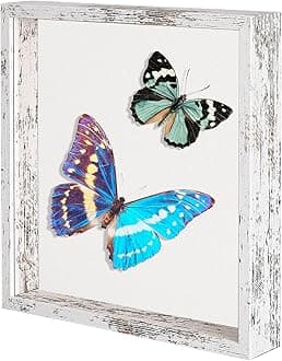 Califortree 11x11 Shadow Box Frame with Soft Linen Back - Metal Push Pins Included, Memory Box Display Case for Memorabilia Flower Awards Medals Wedding Photos, Rustic White