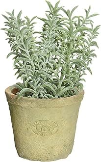 Esschert's Design AH001 Small Artificial Aged Terracotta Pot - Thyme/Green