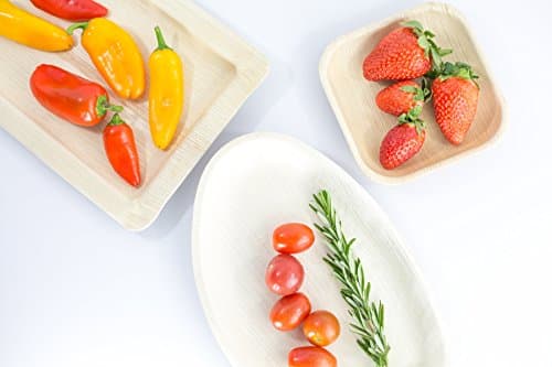 Ridyaa Palm Leaf Plates ( 9 Inch Square 100 Count) – FREE GIFT!!! Natural, Biodegradable, Disposable,Eco friendly Dinnerware – Upscale and affordable; Use for any occasion – 100% Compostable