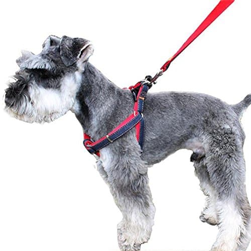 CUGLB No-Pull Dog Leash Harness Adjustable and Heavy Duty Denim Dog Training Walking Leash Collar for Large/Medium/Small Dog ¡