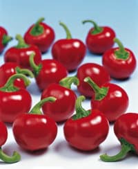 Chilli Pepper - Large Red Cherry - 15 seeds