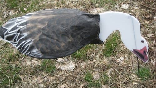 Sillosocks Blue Goose Feeder Decoy (12-Pack), Brown